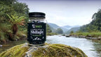 Natural Shelajeet 100% Organicc Energy  ⚡,Stamina & Emmunity Booster Gummies